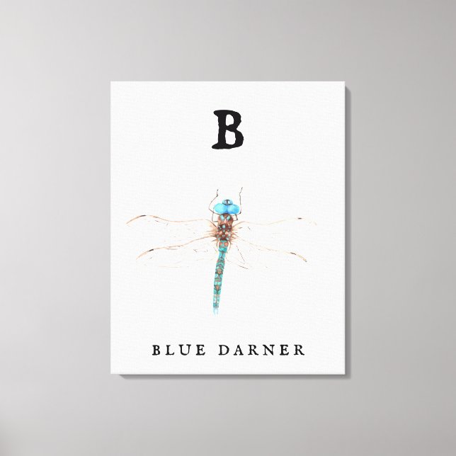 "B" Blue Darner Canvastryck (Framsida)