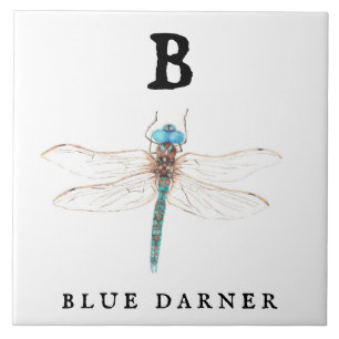 "B" Blue Darner Kakelplatta
