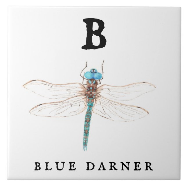 "B" Blue Darner Kakelplatta (Framsidan)