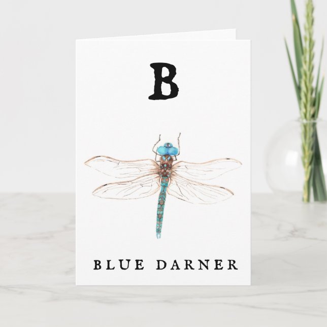 "B" Blue Darner Kort (Framsida)