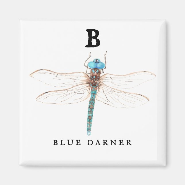 "B" Blue Darner Magnet (Framsidan)