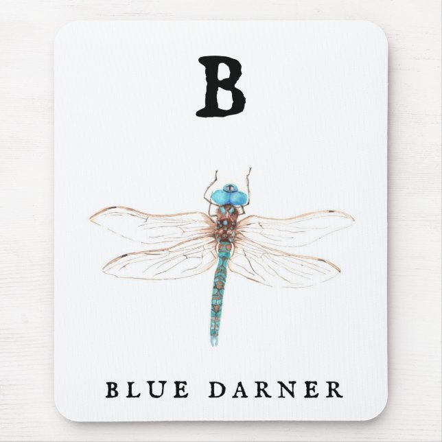 "B" Blue Darner  Musmatta (Framsidan)