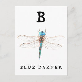"B" Blue Darner Vykort