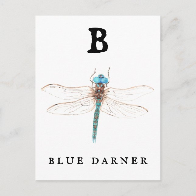 "B" Blue Darner Vykort (Framsida)