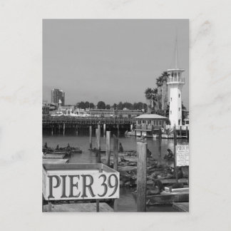 B&E Pier 39 Sea Lejon Vykort