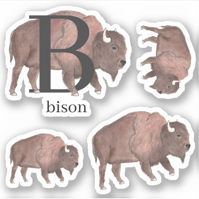 B för Bison Stickers Klistermärken (Framsida)