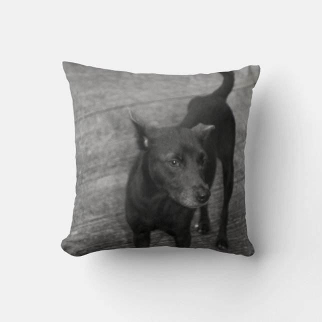 B&W - Aspin Kudde (Framsida)