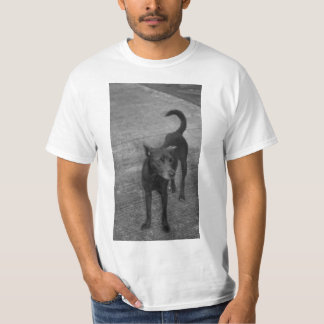 B&W - Aspin T Shirt