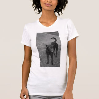 B&W - Aspin T Shirt