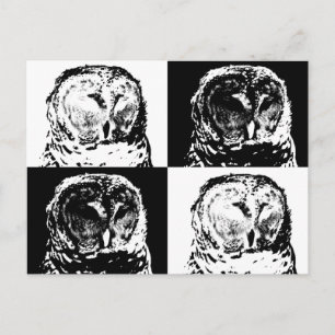 B/W Bandad uggla Pop Art Vykort