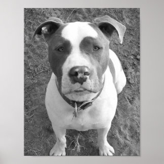 B/W Chevy Poster