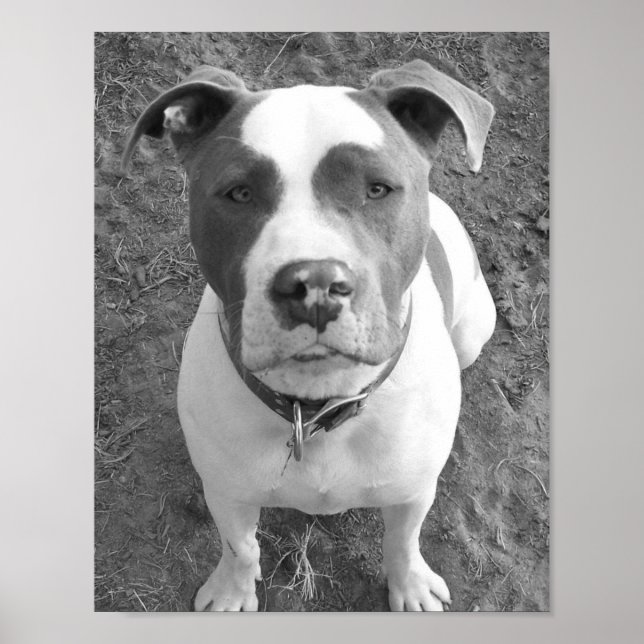 B/W Chevy Poster (Framsidan)