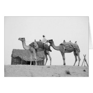B&W Dubai-öken Hälsningskort