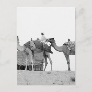 B&W Dubai-öken Vykort