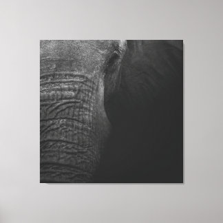 B&W Elephant Canvastryck