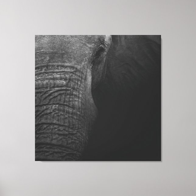 B&W Elephant Canvastryck (Framsida)