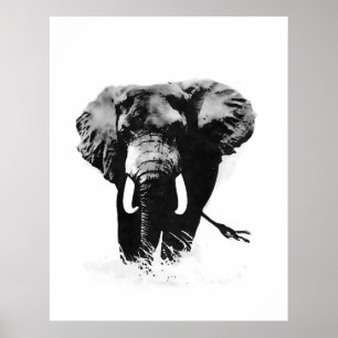 B&W Elephant Poster utskrifter