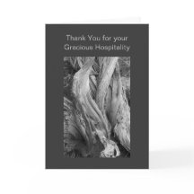 B&W Fine Art Juniper Trunk Photo Template