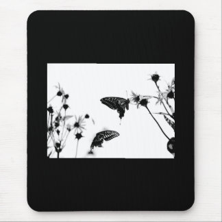 B/W-fjäril på en blomma Musmatta