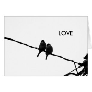 B&W-fotokort för Kärlek/Sparrow-par OBS Kort