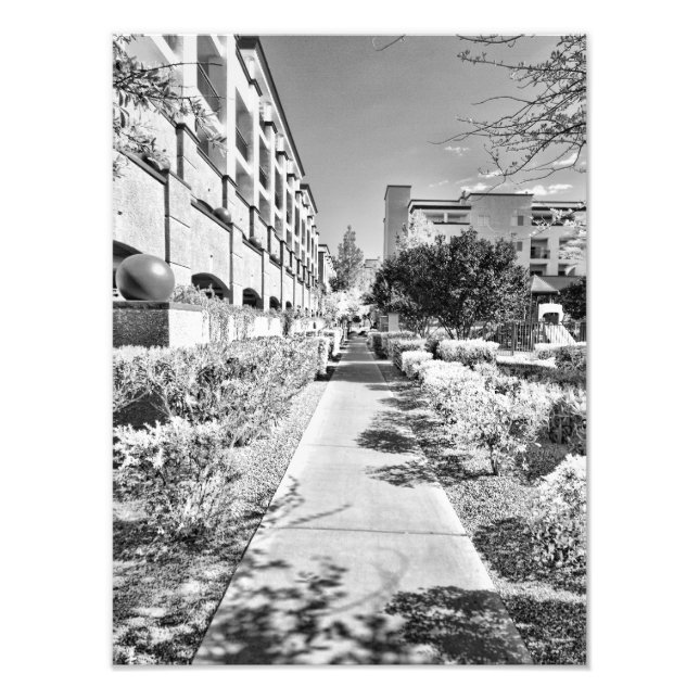 B&W FOTOTRYCK (Framsidan)