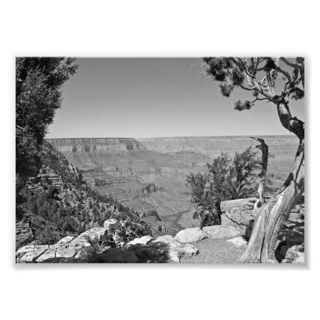 B&W Grand Canyon nationalpark 3 Fototryck (Framsidan)