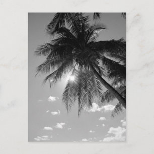 B&W-handflatan Vykort