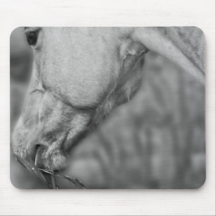 B&W Horse Head ~ Mousepad Musmatta