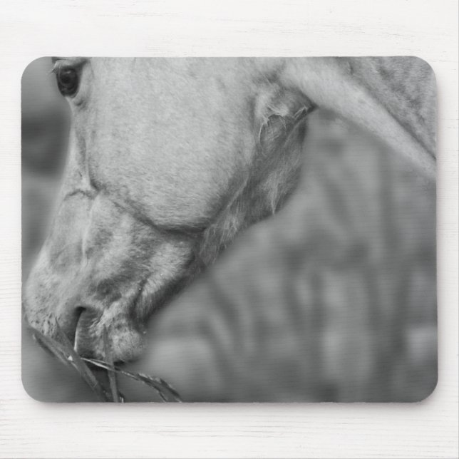 B&W Horse Head ~ Mousepad Musmatta (Framsidan)