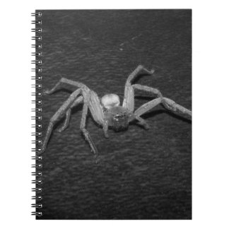 B&W_Huntsman Spider Anteckningsbok