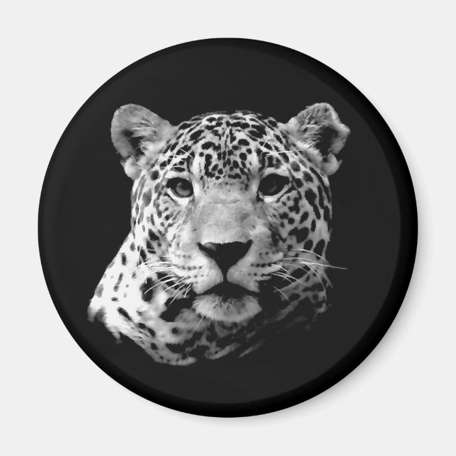 B&W Jaguar Magnet (Framsidan)