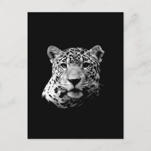 B&W Jaguar Vykort
