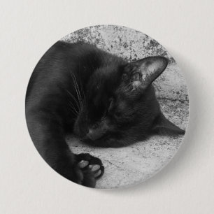 B&W - Katt som sover Knapp