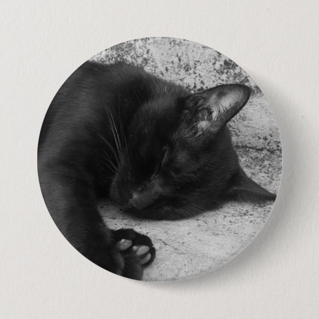 B&W - Katt som sover Knapp (Framsida)