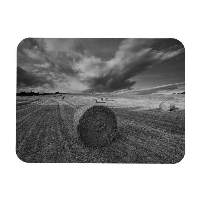 B&W Kort Fält Magnet (Horisontell)