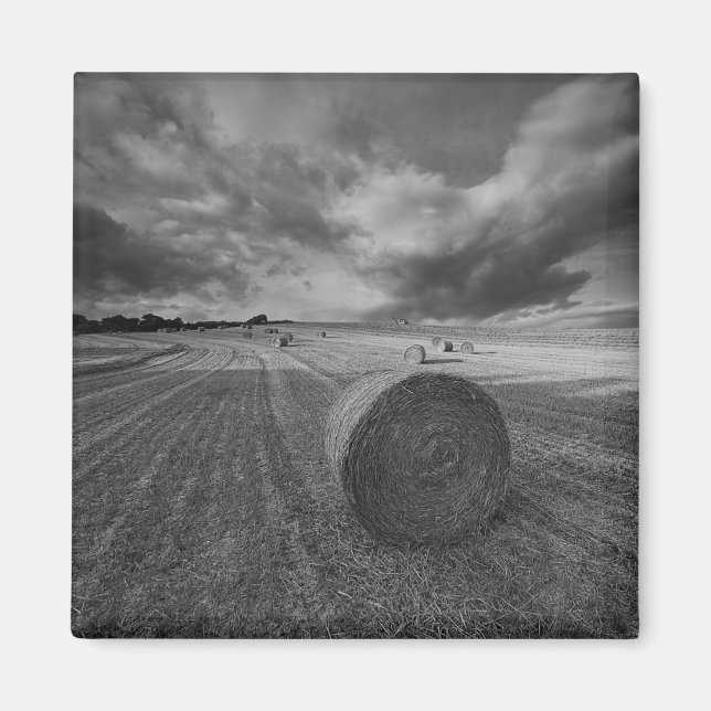 B&W Kort Fält Magnet (Framsidan)