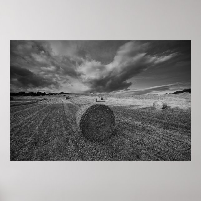 B&W Kort Fält Poster (Framsidan)