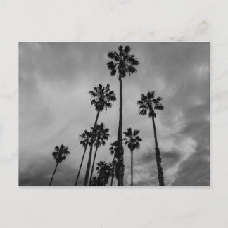 B&W Los Angeles handflatan Vykort