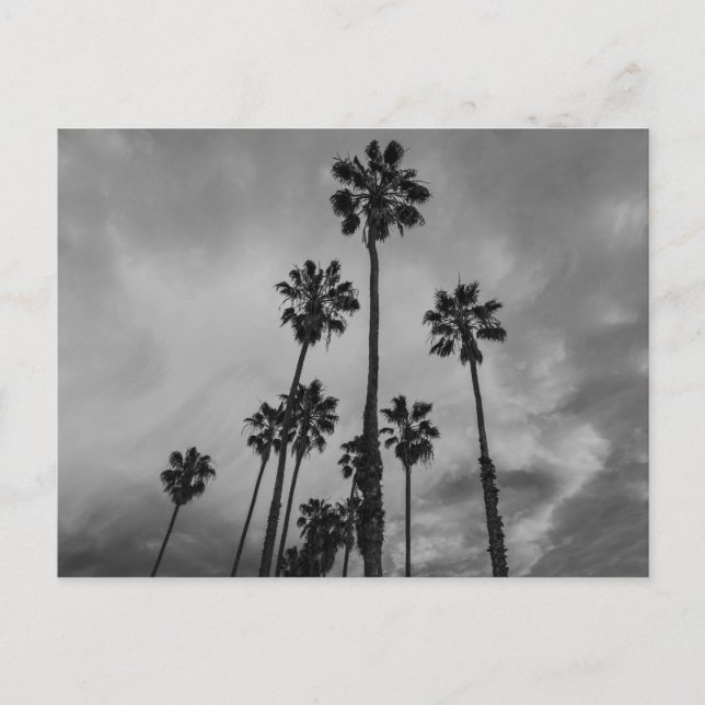 B&W Los Angeles handflatan Vykort (Framsida)