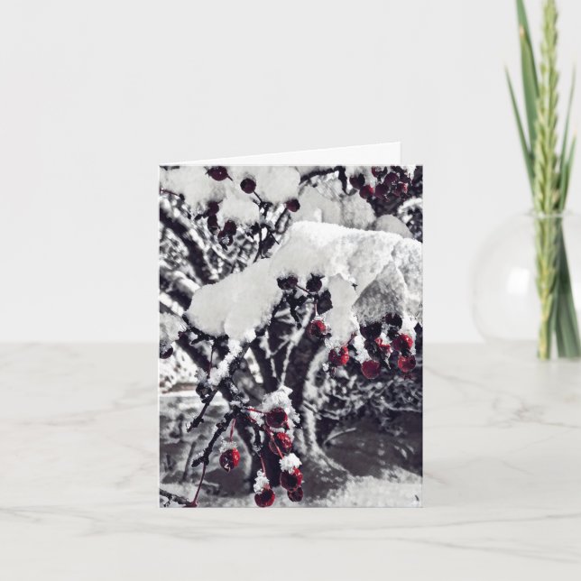 B&W med Red Crab Apple Berries i Snö Julafton Card Tack Kort (Framsida)