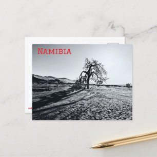 B+W Namib öken träd Vykort