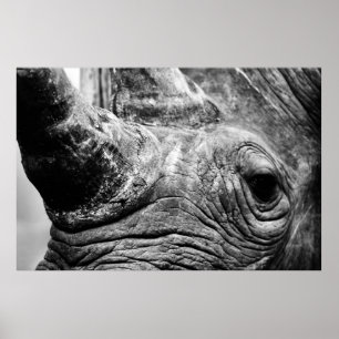 B&W-noshörning Poster