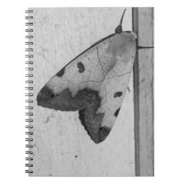 B&W - Ophiusa tirhaca, den gröna tråkigheten Anteckningsbok