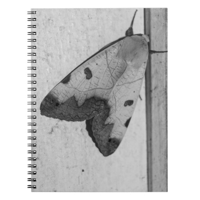 B&W - Ophiusa tirhaca, den gröna tråkigheten Anteckningsbok (Framsidan)