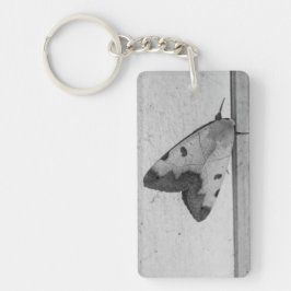 B&W - Ophiusa tirhaca, grönten drab