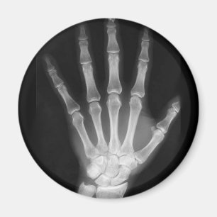 B&W röntgenskelleton Hand Magnet