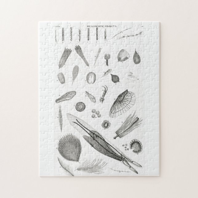 B&W Science Microbiology Magnification Microscopic Pussel (Vertikal)