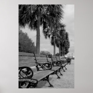 B/W vattenfront Benches Poster