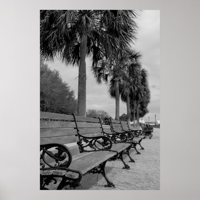 B/W vattenfront Benches Poster (Framsidan)