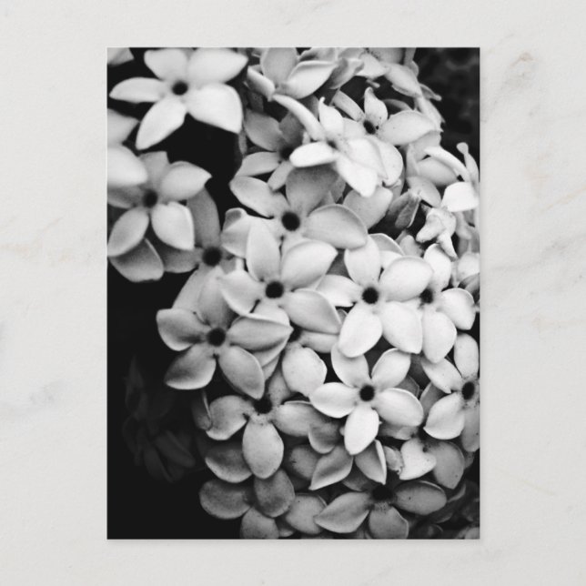 B&W VYKORT (Framsida)